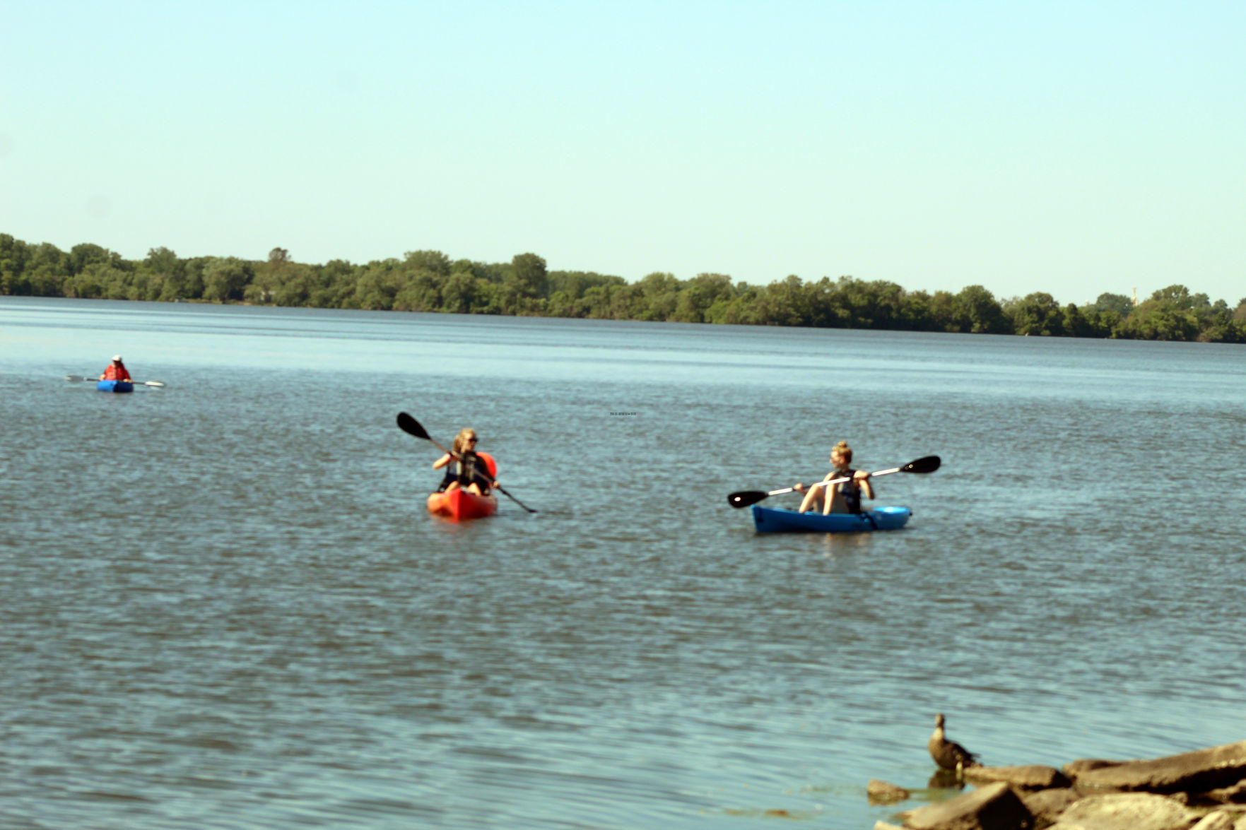 061019-ctzn-news-paddle-f006.jpg